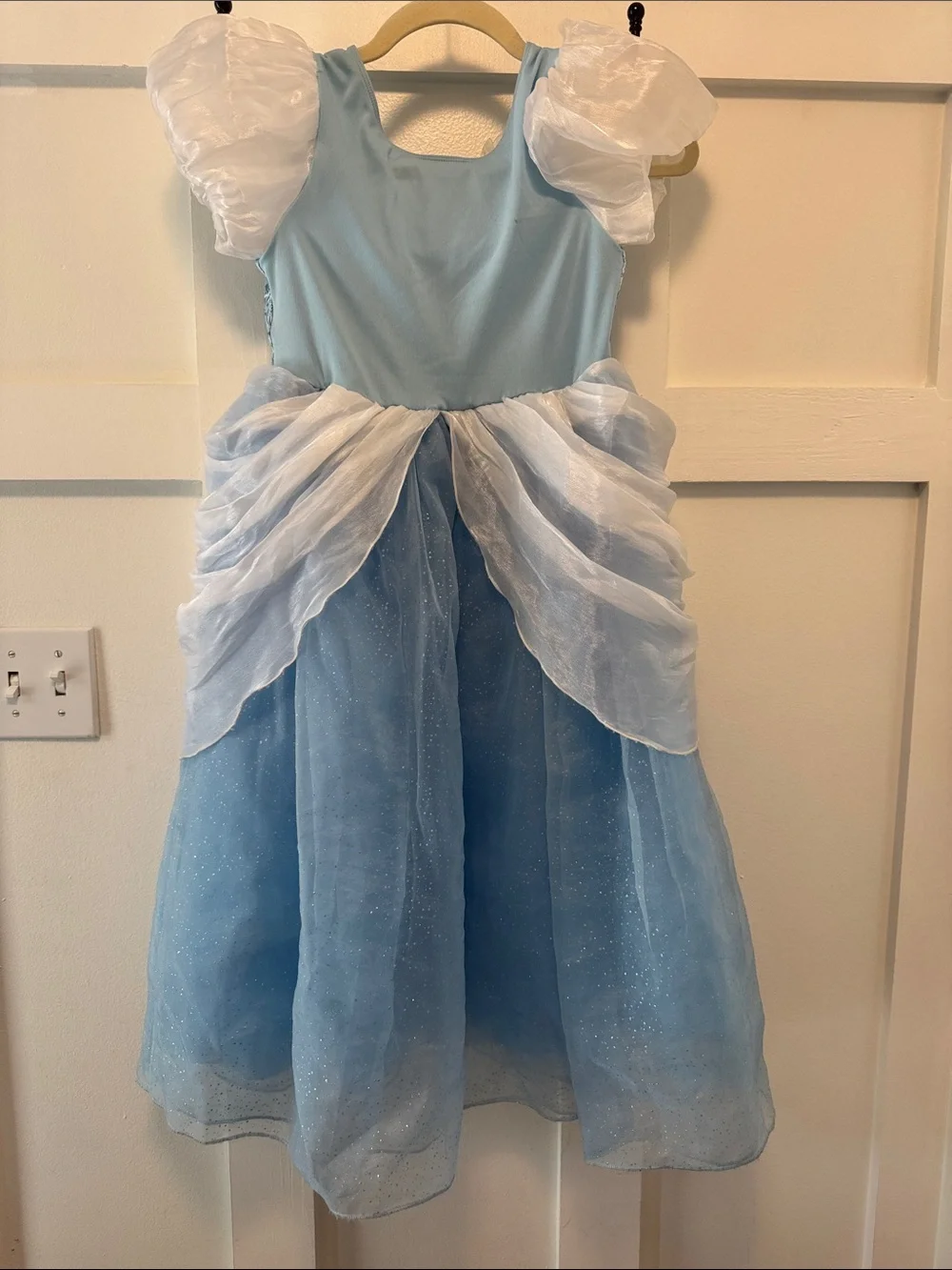 Cinderella Princess Ball Gown Kids Costume with White Accents